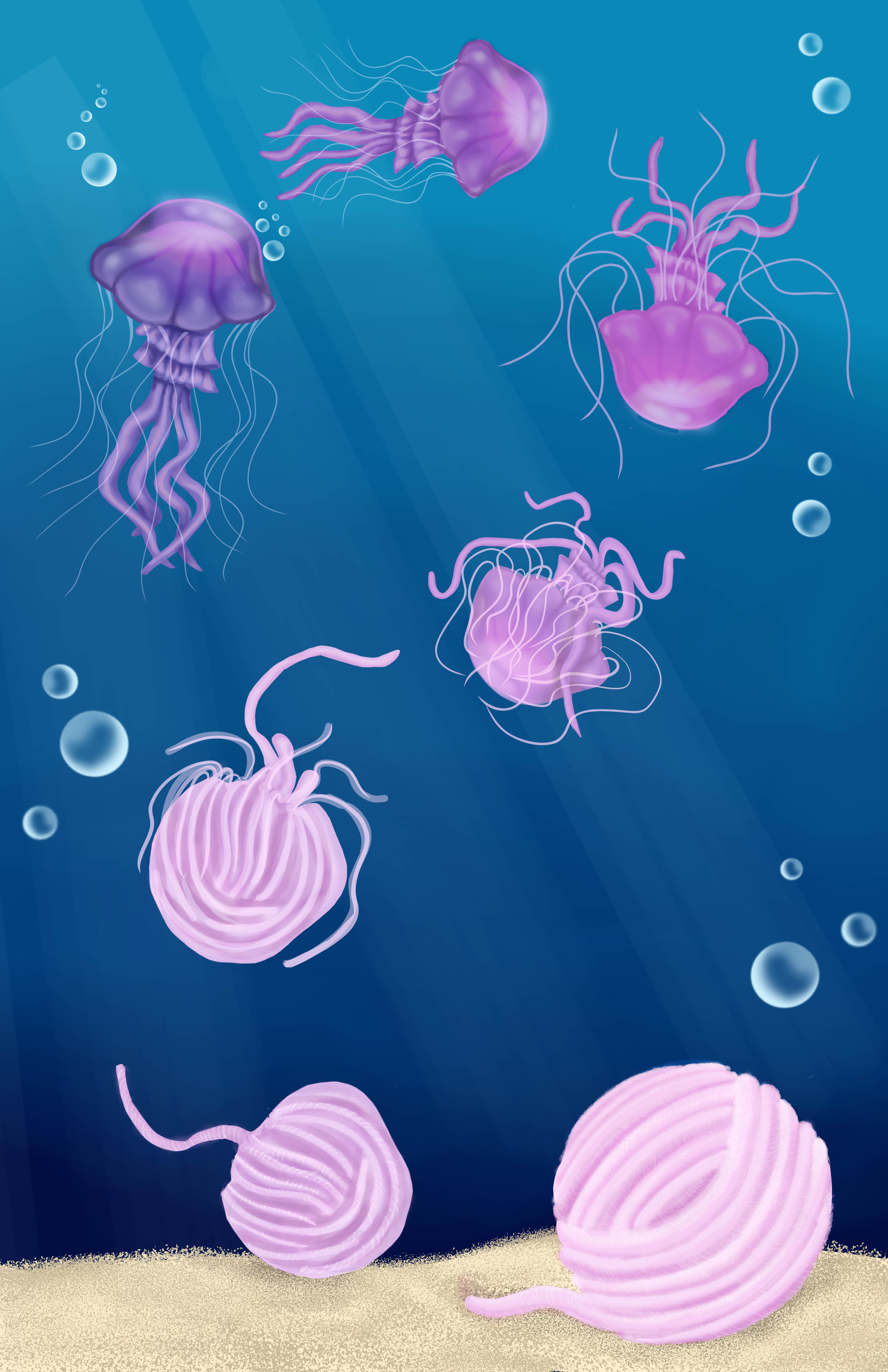 Jellyfish