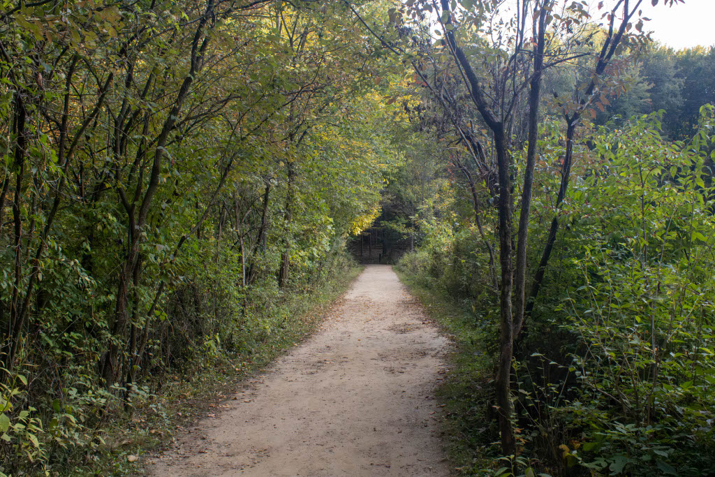 Landscape 8
