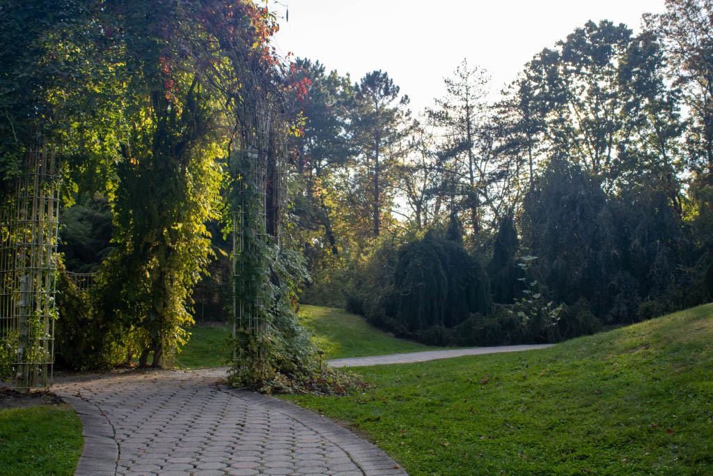 Landscape 3