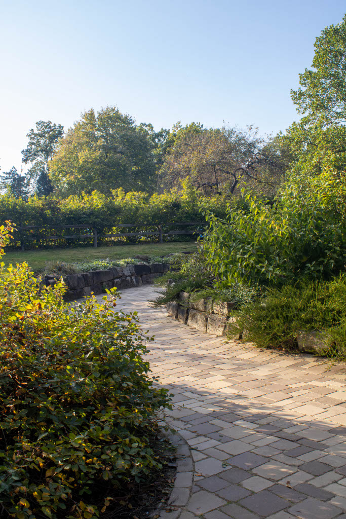 Landscape 2