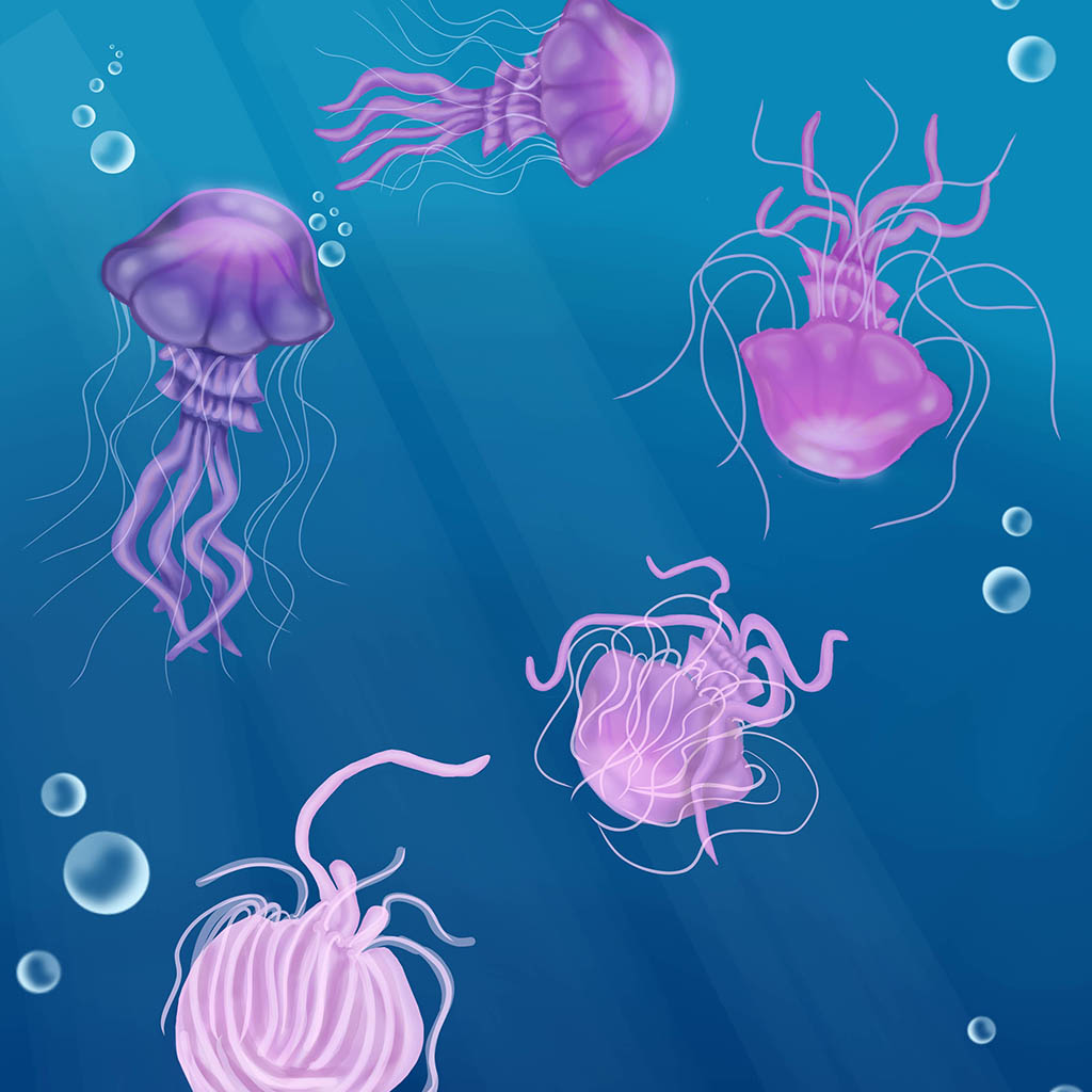 Jellyfish Thumbnail