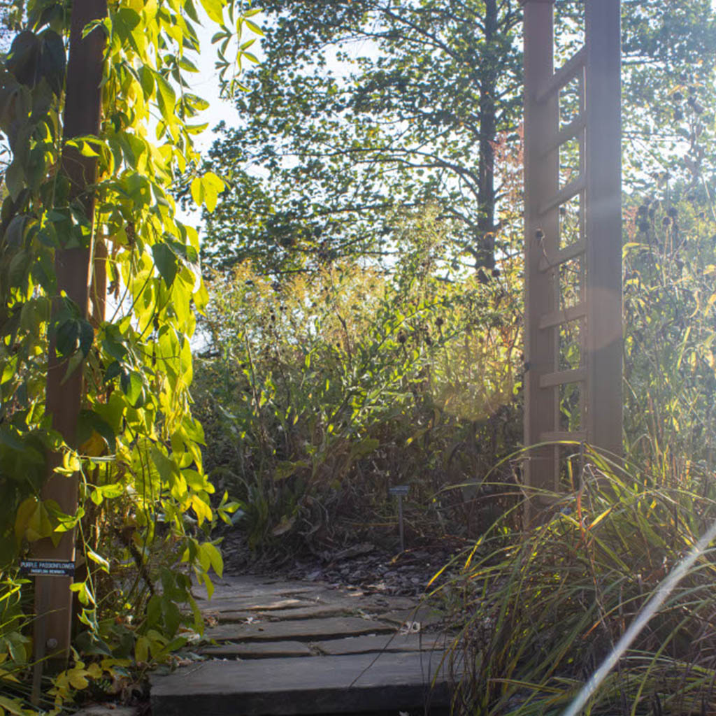 Lanscape Thumbnail