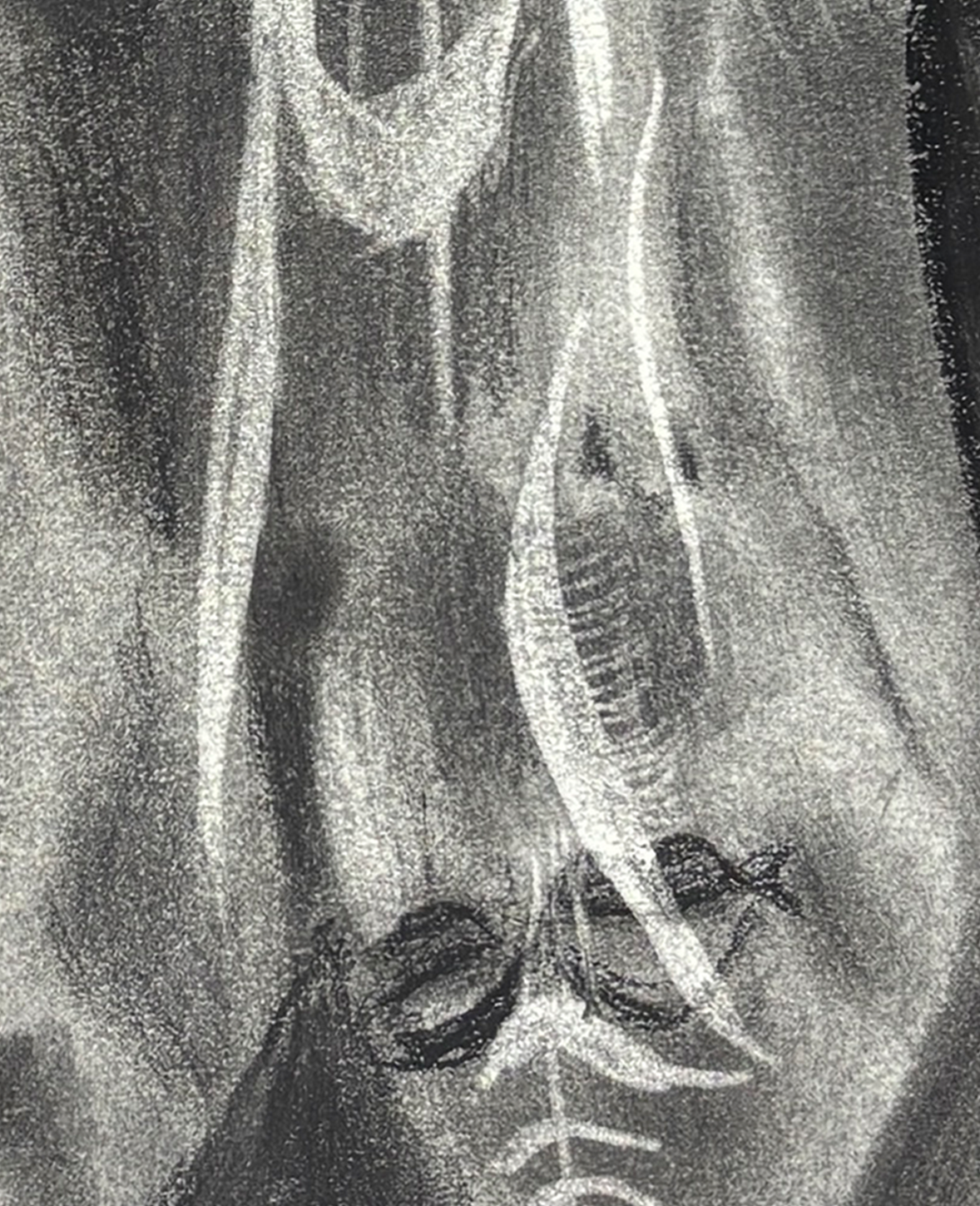 detail