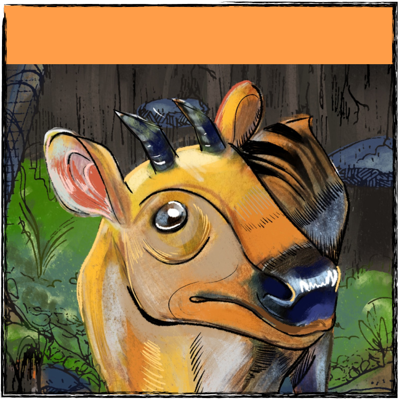 adopt img