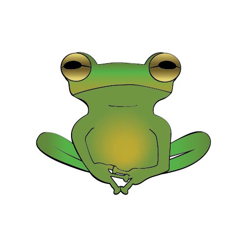 Frog Drawing