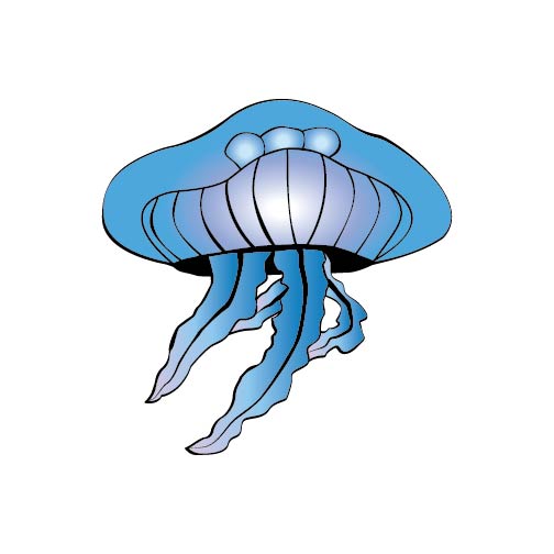 Jellyfish
