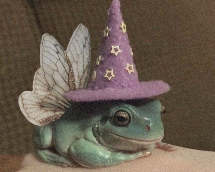 Frog with wizard hat