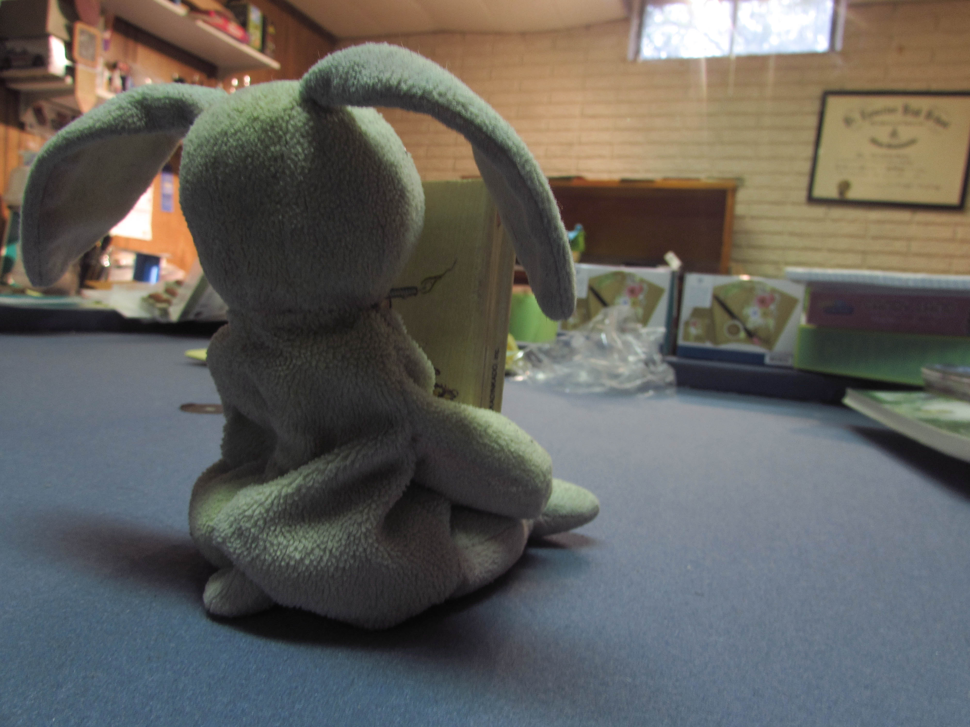 Rabbit8